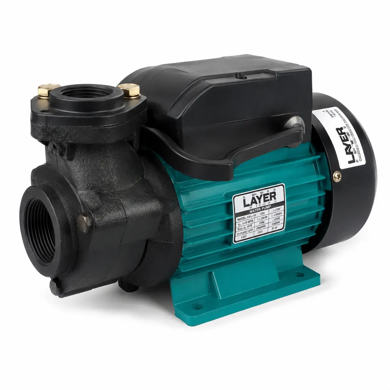 Raw Water Pumps